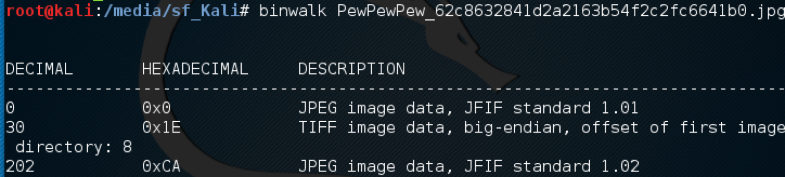 The results of binwalk on the image